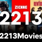 2213Movies